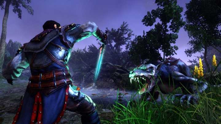 Screen aus Risen 3